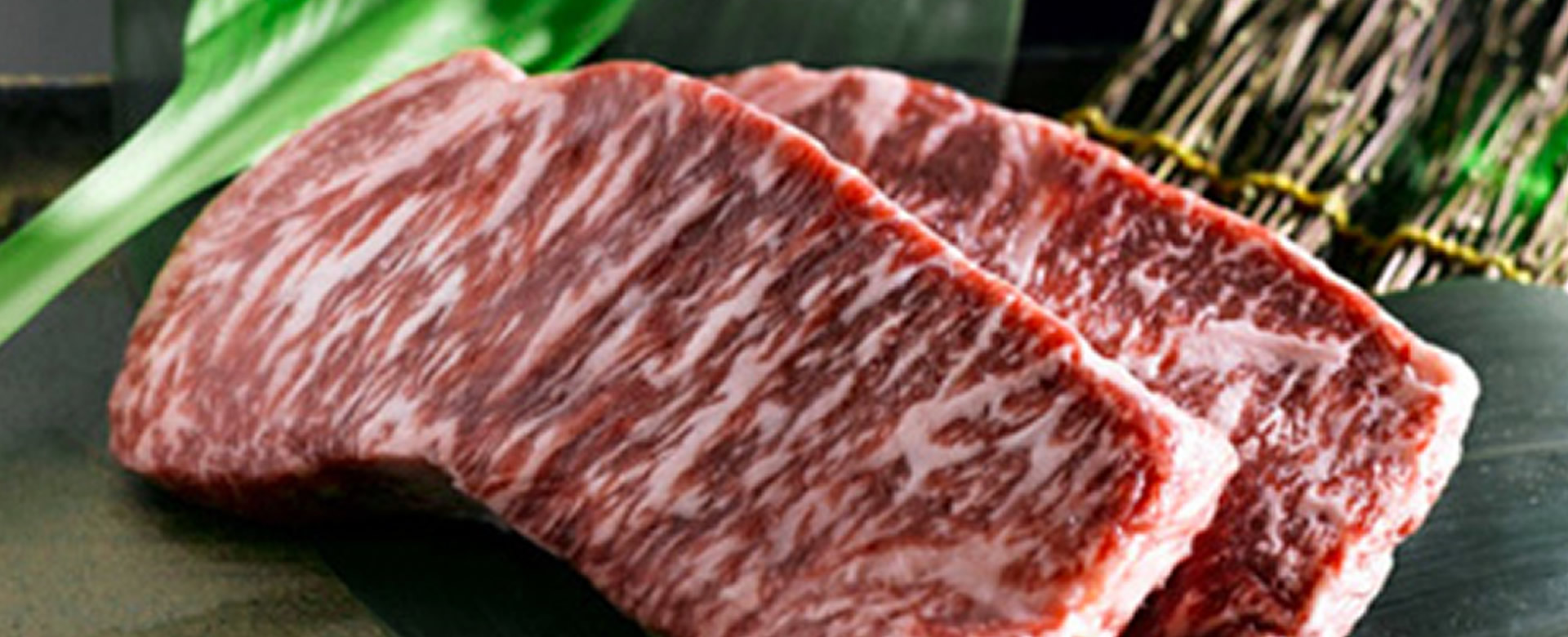 Distribucion de Alimentos exclusivos
