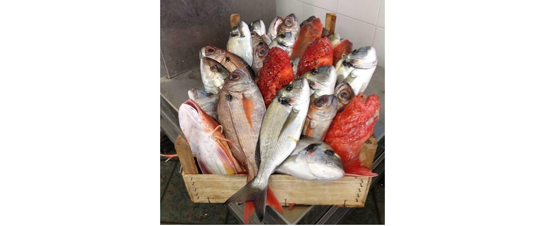 Alimentos exclusivos para restaurantes